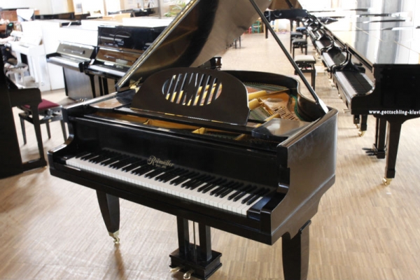 Ritmüller 170 sm surrey
