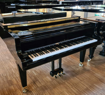 Schimmel Flügel 208 