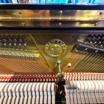 Yamaha U3, Bj. 2015