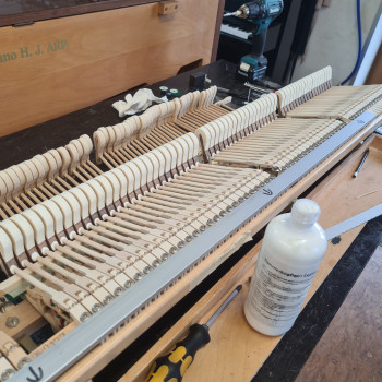 C. Bechstein Flügel M 180 