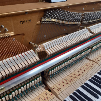 Grotrian Steinweg Klavier 112 Nussbaum