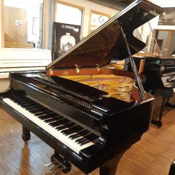Kawai Flügel RX6