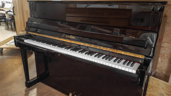 Schimmel 118 T 224357