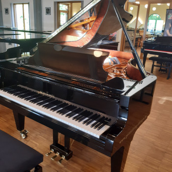 Schimmel Flügel K 213