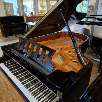 Schimmel Flügel Mod. 208