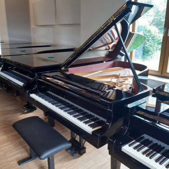 Steinway & Sons Flügel Mod. B 
