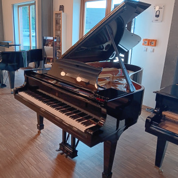 Steinway & Sons Flügel Mod. B 