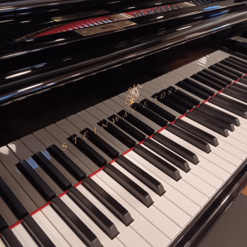 Steinway & Sons Flügel Mod. O