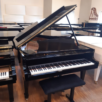 Steinway & Sons Flügel Modell O