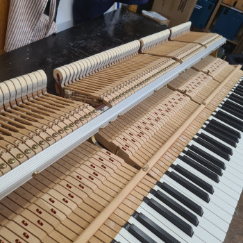 Yamaha Flügel C5