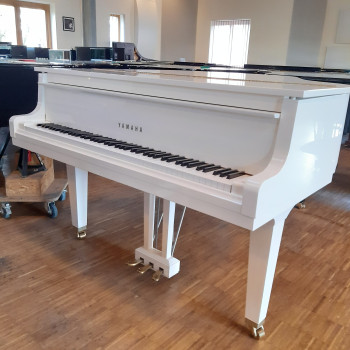 Yamaha Flügel GH1 