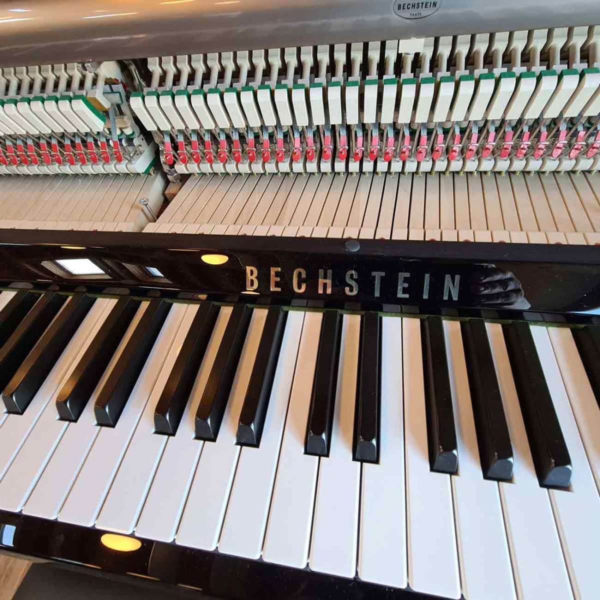 Bechstein Klavier A 116 Klaviatur