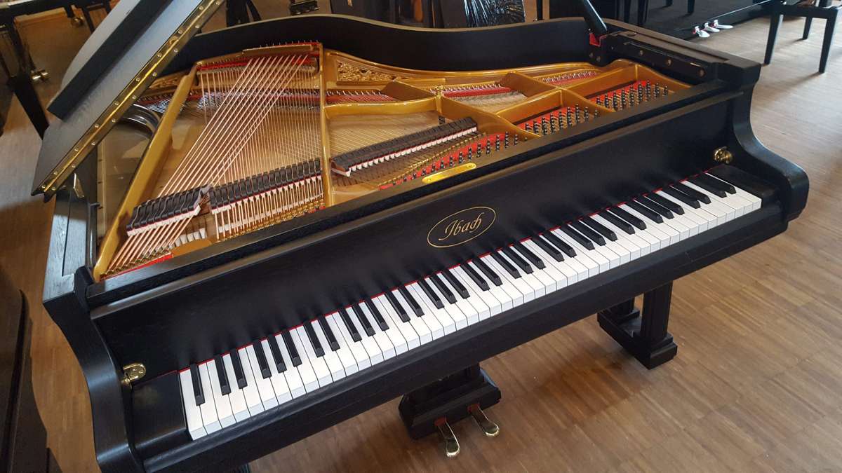 Ibach Doppelkreuzer 79820 5