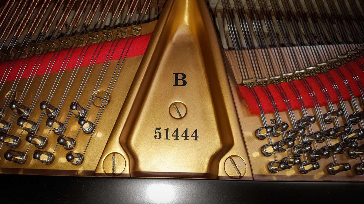 Steinway B 51444