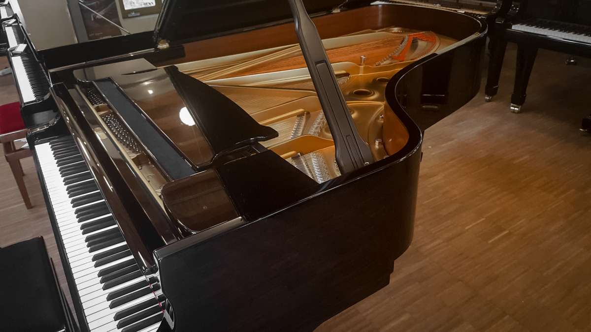 Steinway & Sons Flügel B