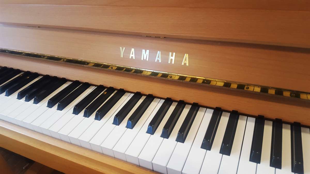 Yamaha P121 Buche