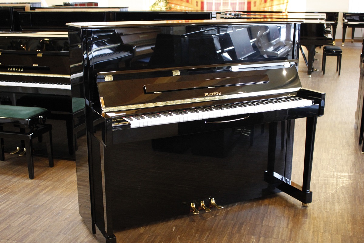 Euterpe Mod. 126 sp Bj. 2009