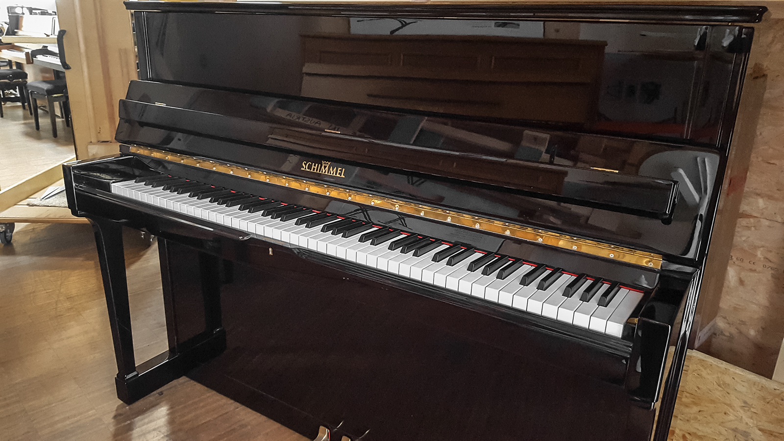 Schimmel 118 T 224357