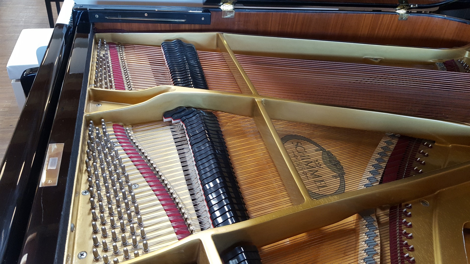 Schimmel 174 4