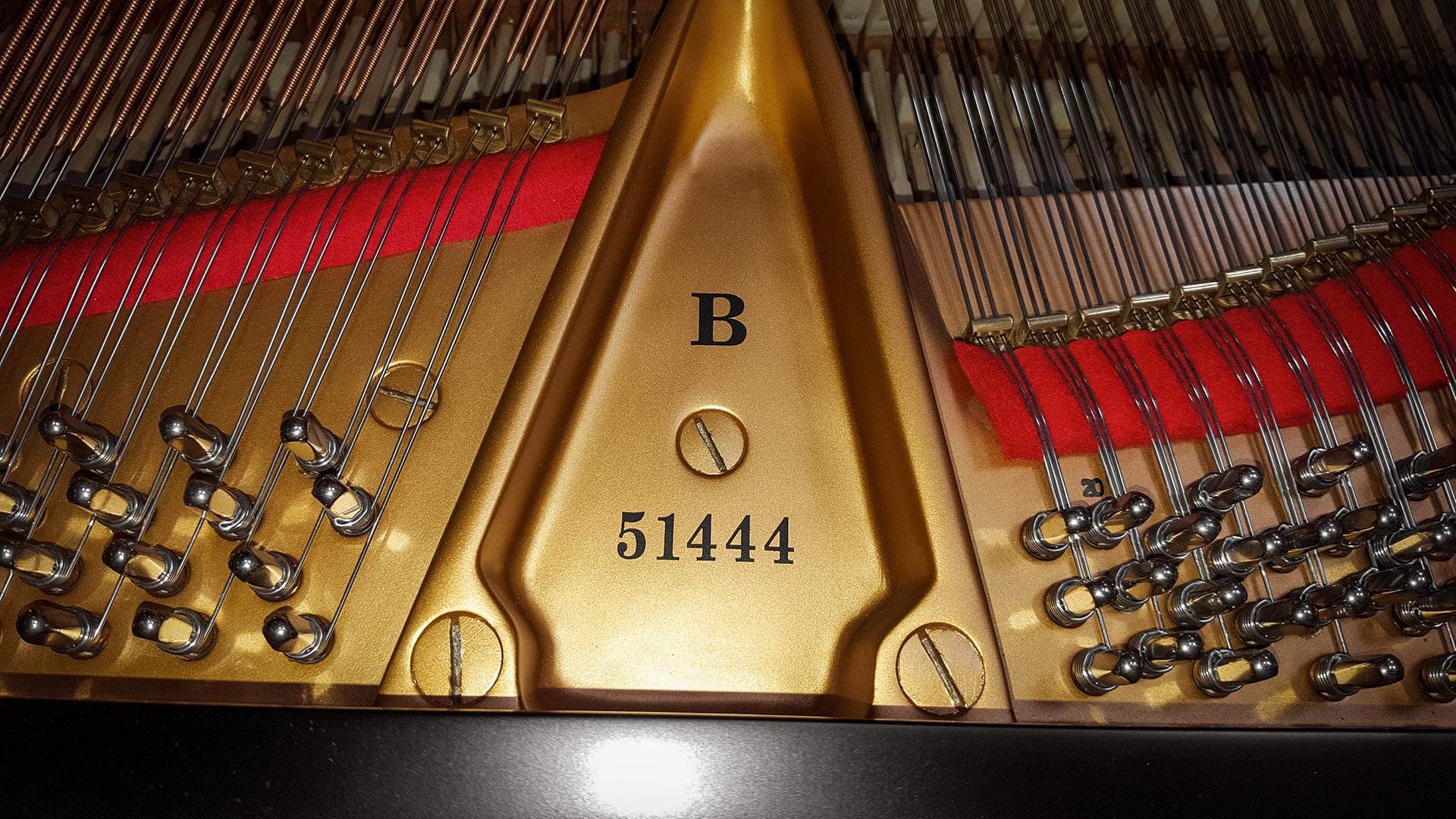 Steinway B 51444
