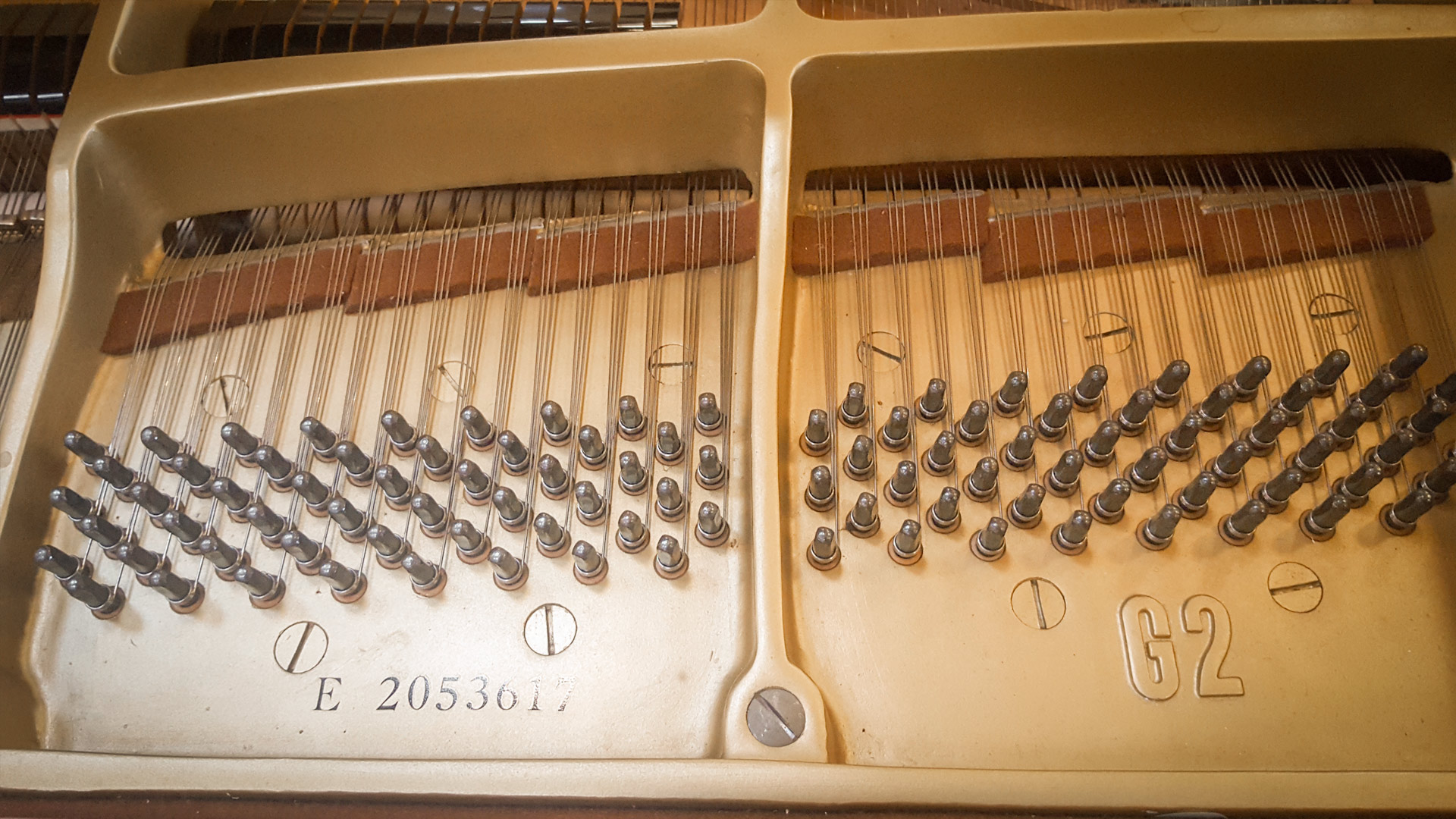 Yamaha g2 nuss 4