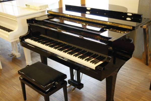 Yamaha G2